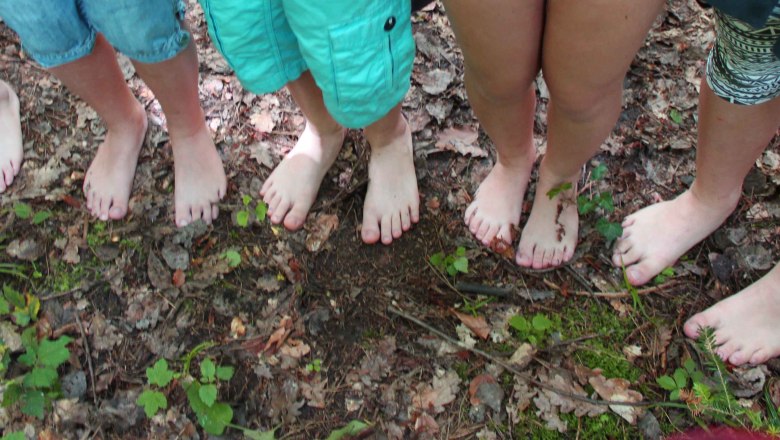 Consciously feel the forest floor., &copy; Elisabeth Winkler
