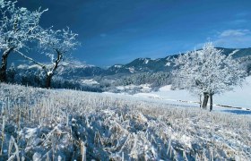 Prigglitz t&eacute;len, &copy; Gemeinde Prigglitz