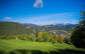 Blick auf eine gr&uuml;ne Landschaft mit H&uuml;geln und Bergen im Hintergrund, unter einem klaren blauen Himmel.