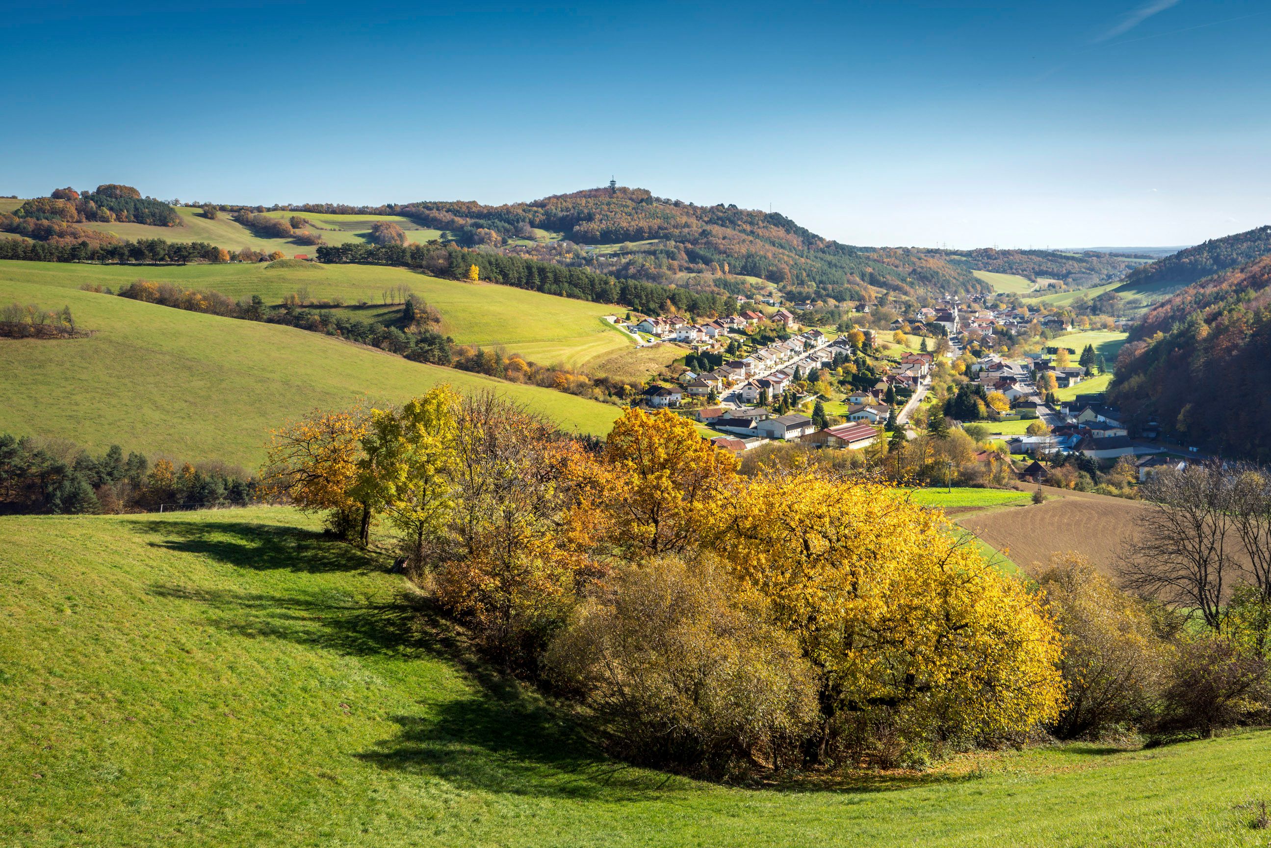 Herbstliche Landschaft in der Buckligen Welt mit grünen Hügeln und einem Schwarzenbach im Tal. Im Hintergrund ein Hügel mit Aussichtsturm