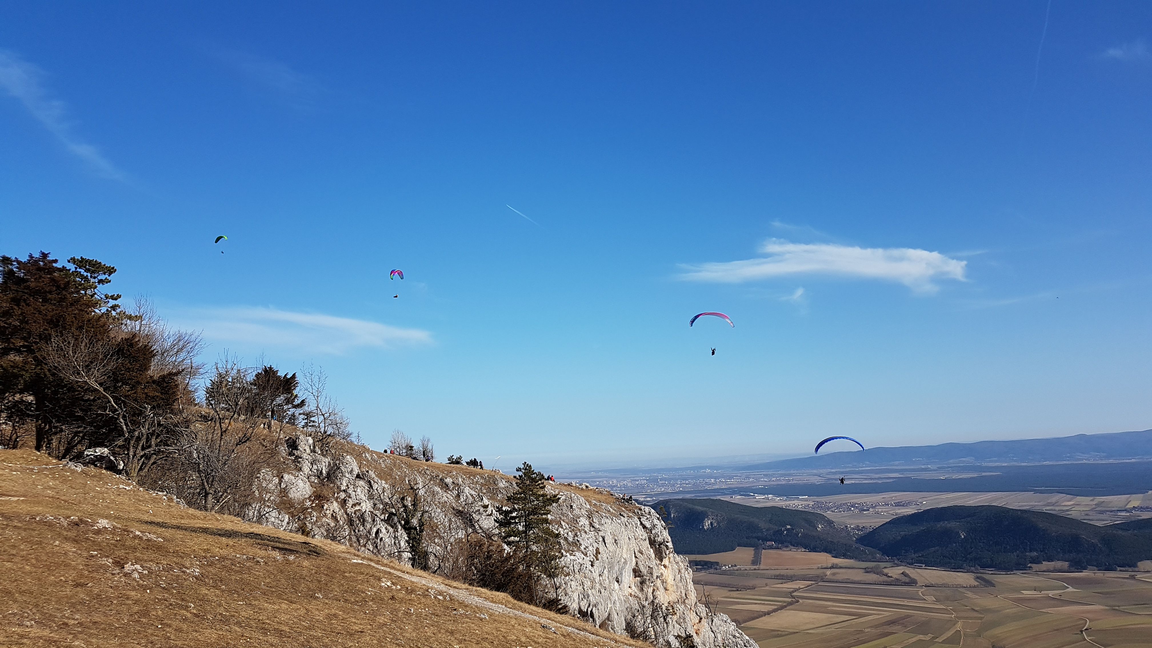 Paragleiter über der Hohen Wand 