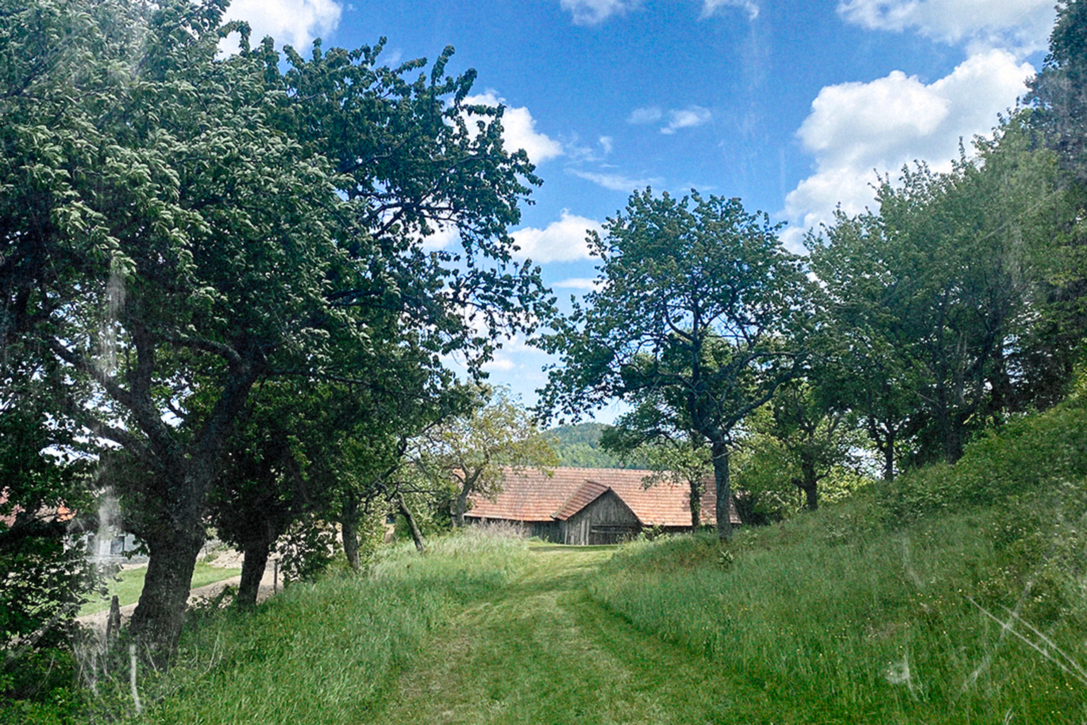 Ein ländlicher Weg führt durch eine grüne Wiese, gesäumt von Bäumen, zu einem Haus mit rotem Ziegeldach unter blauem Himmel.