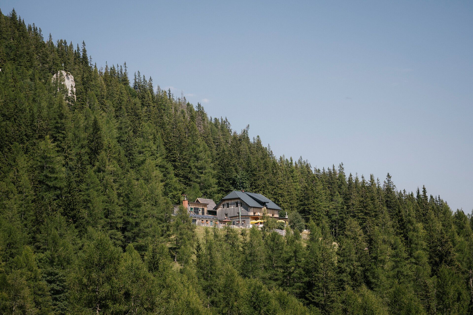 Waxriegelhaus auf der Rax, umgeben von dichtem Bergwald