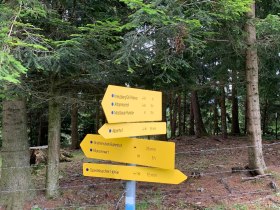 Beschilderung Richtung Speckbacherhütte, © Wiener Alpen in Niederösterreich