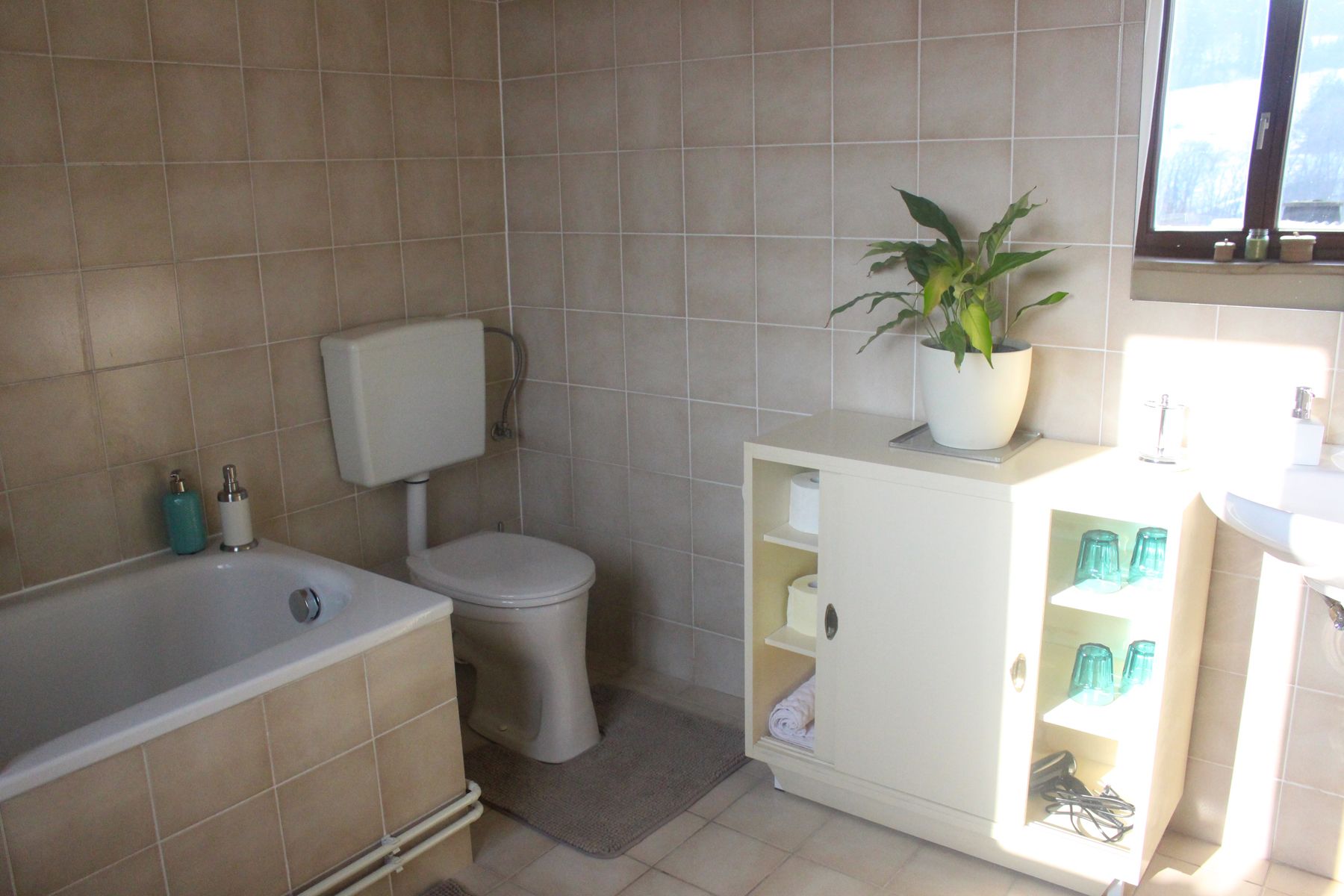 Ein Badezimmer mit Badewanne, Toilette, Waschbecken und einem Schrank mit Pflanzen und Gläsern.