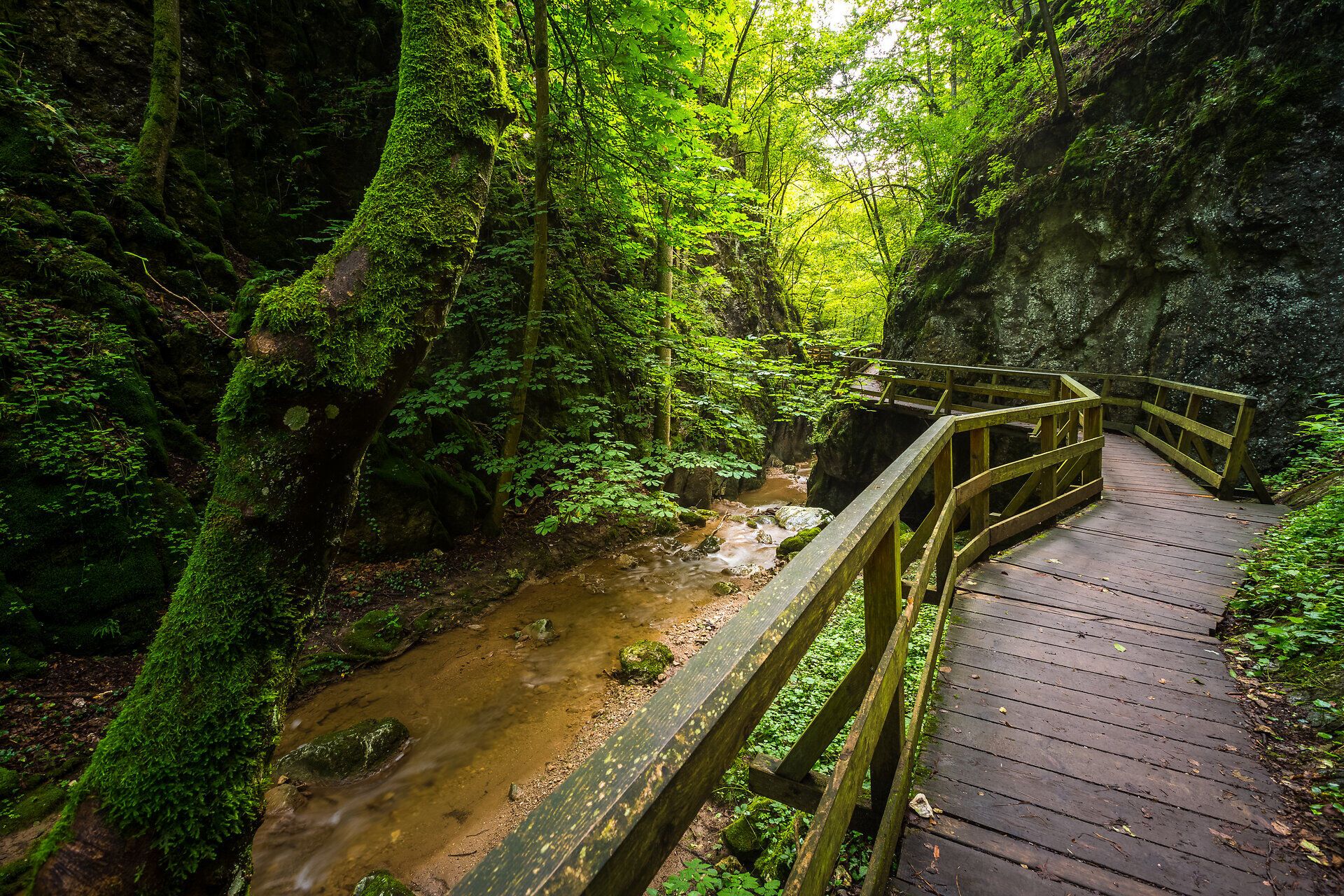 DIe Johannesbachklamm in Würflach ist auch an heißen Sommertagen ein ideales Ausflugsziel.