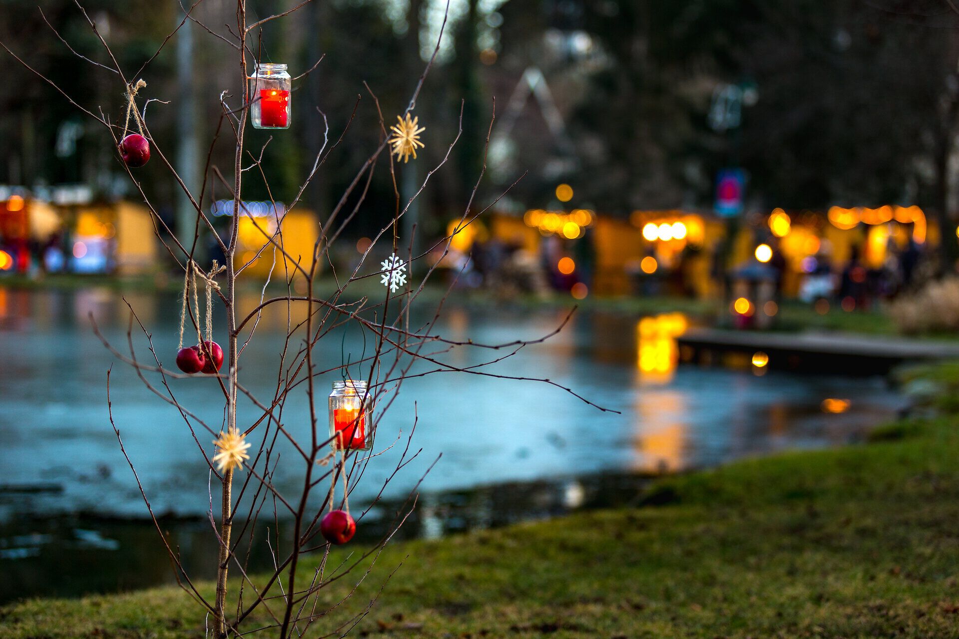 Mit Kerzen und Weihnachtsschmuck dekorierter Baum am Ufer eines Teichs, im Hintergrund ein stimmungsvoll beleuchteter Adventmarkt.