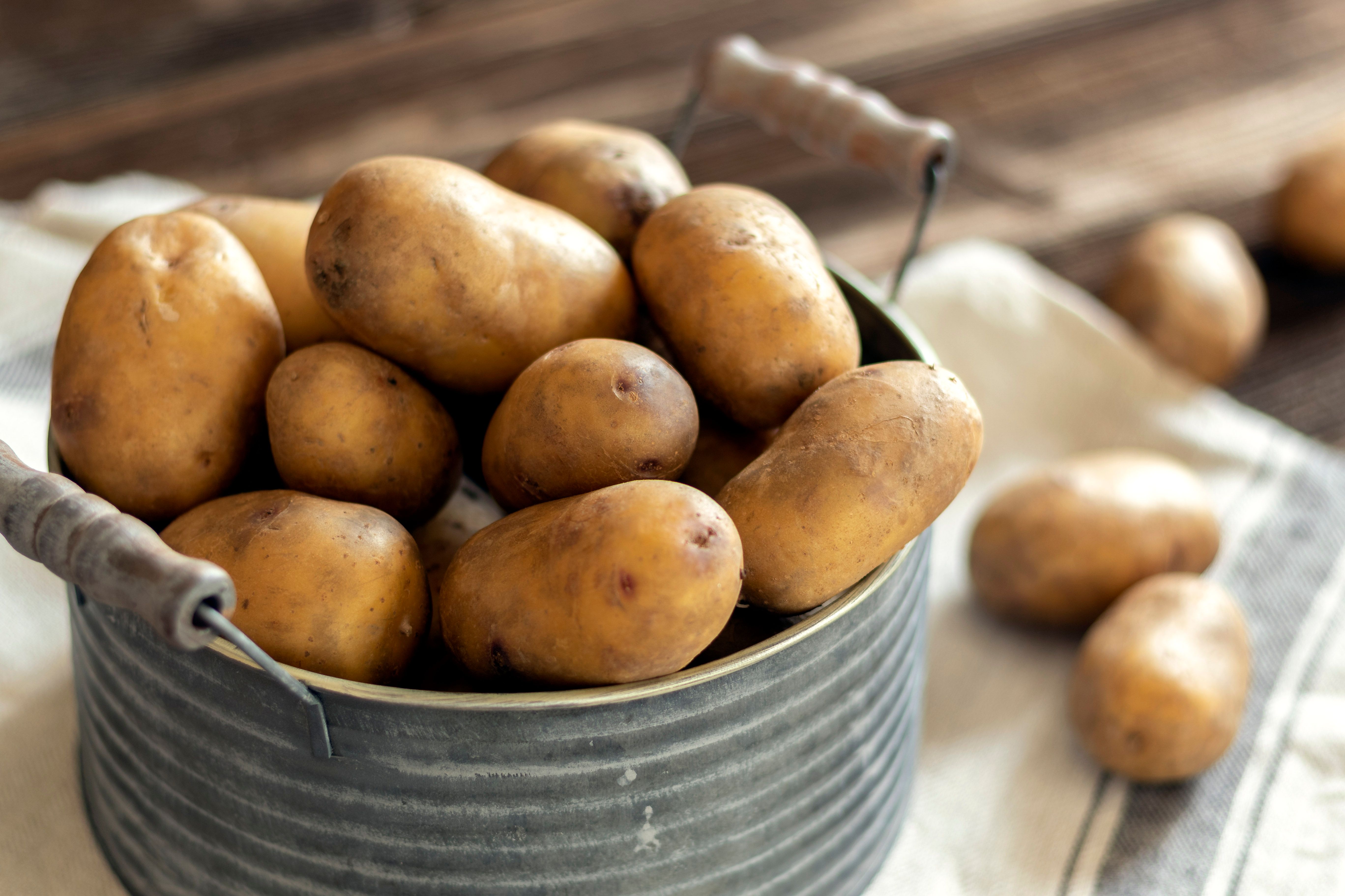 Ein Topf gefüllt mit Kartoffeln auf einem Tuch, im Hintergrund noch mehr Kartoffeln.