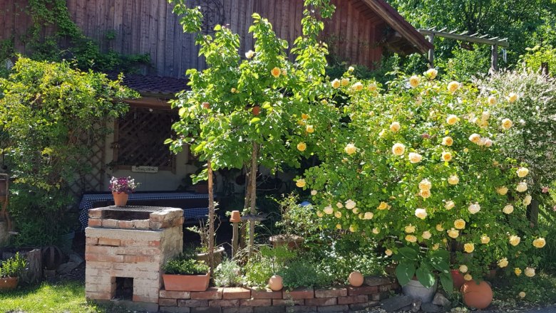 An idyllic garden with yellow roses, a brick barbecue and a wooden table in front of a wooden house.