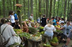 Fotos der Veranstaltung Keltenfestival im Freilichtmuseum in Schwarzenbach in der Buckligen Welt mit Kampfshow, Marktständen, Musikvorführungen und großem Lagerfeuer.
