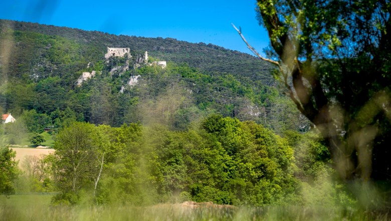 Emmerberg castle ruins on a wooded hill, surrounded by green trees and a blue sky.