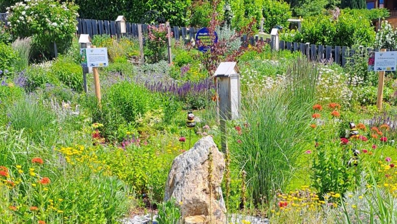 A blooming wild bee garden with colorful flowers and beehives, surrounded by trees and shrubs.