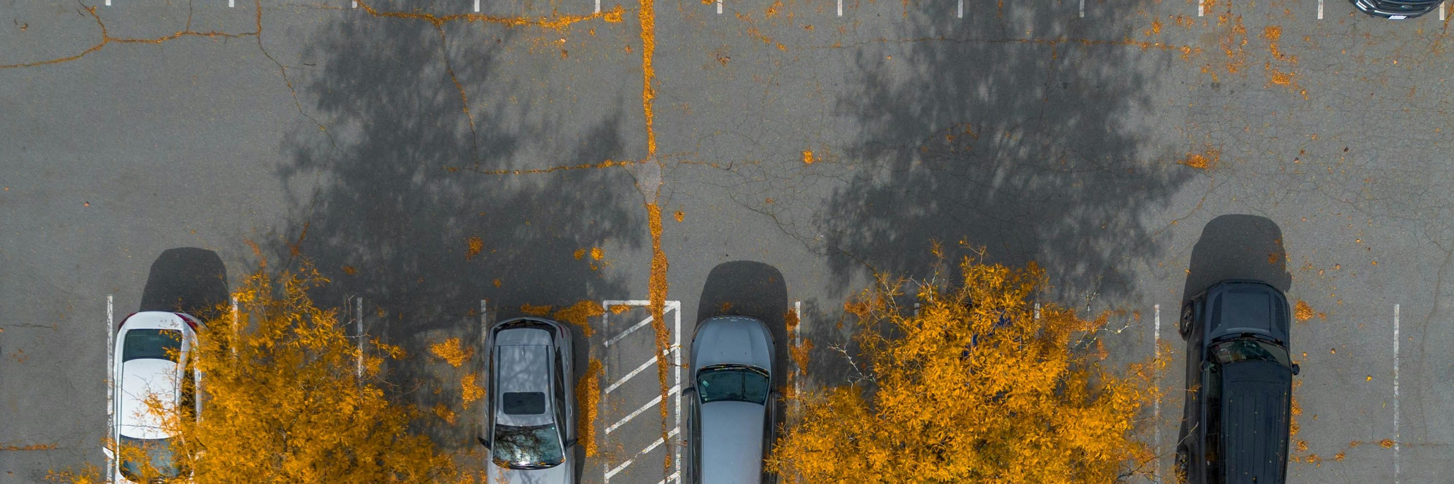 Platzplatz im Herbst