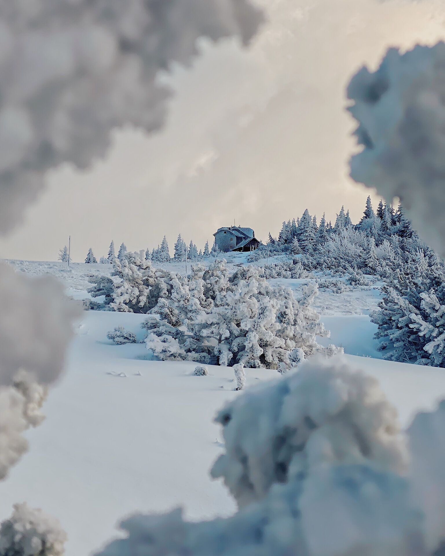 In der winterlichen Landschaft erstrahlt die Natur in einem glitzernden Weiß, während schneebedeckte Bäume sanft im Wind wiegen. Ein charmantes Häuschen thront malerisch auf einem Hügel und lädt dazu ein, die Ruhe und Schönheit der Umgebung zu genießen.