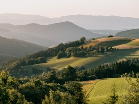 Landschaftsansicht entlang der Aussichtsroute mit H&uuml;geln und W&auml;ldern im Sonnenuntergang.