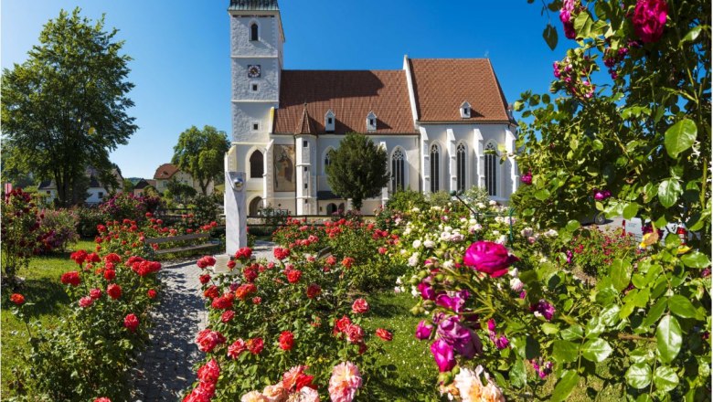 Fortified church in Kirchschlag with a blooming rose garden in the foreground.