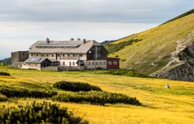 The Karl Ludwig House in an alpine landscape with yellow flower meadows and a cloudy sky.
