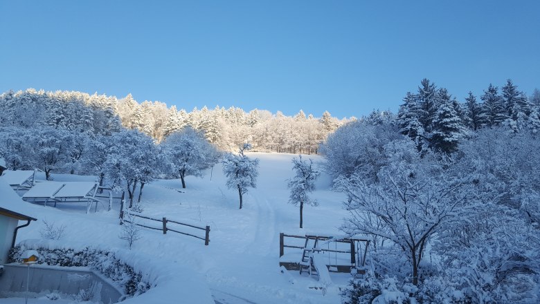 Verschneite Landschaft mit Bäumen und Wiese unter blauem Himmel.