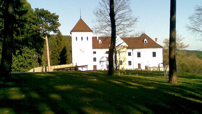 Schloss Vöstenhof in einer grünen Landschaft mit Bäumen im Vordergrund.
