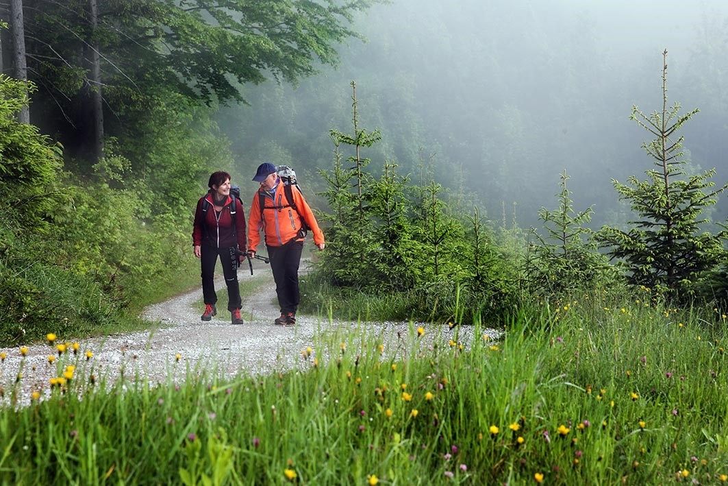 Hiking Opponitz