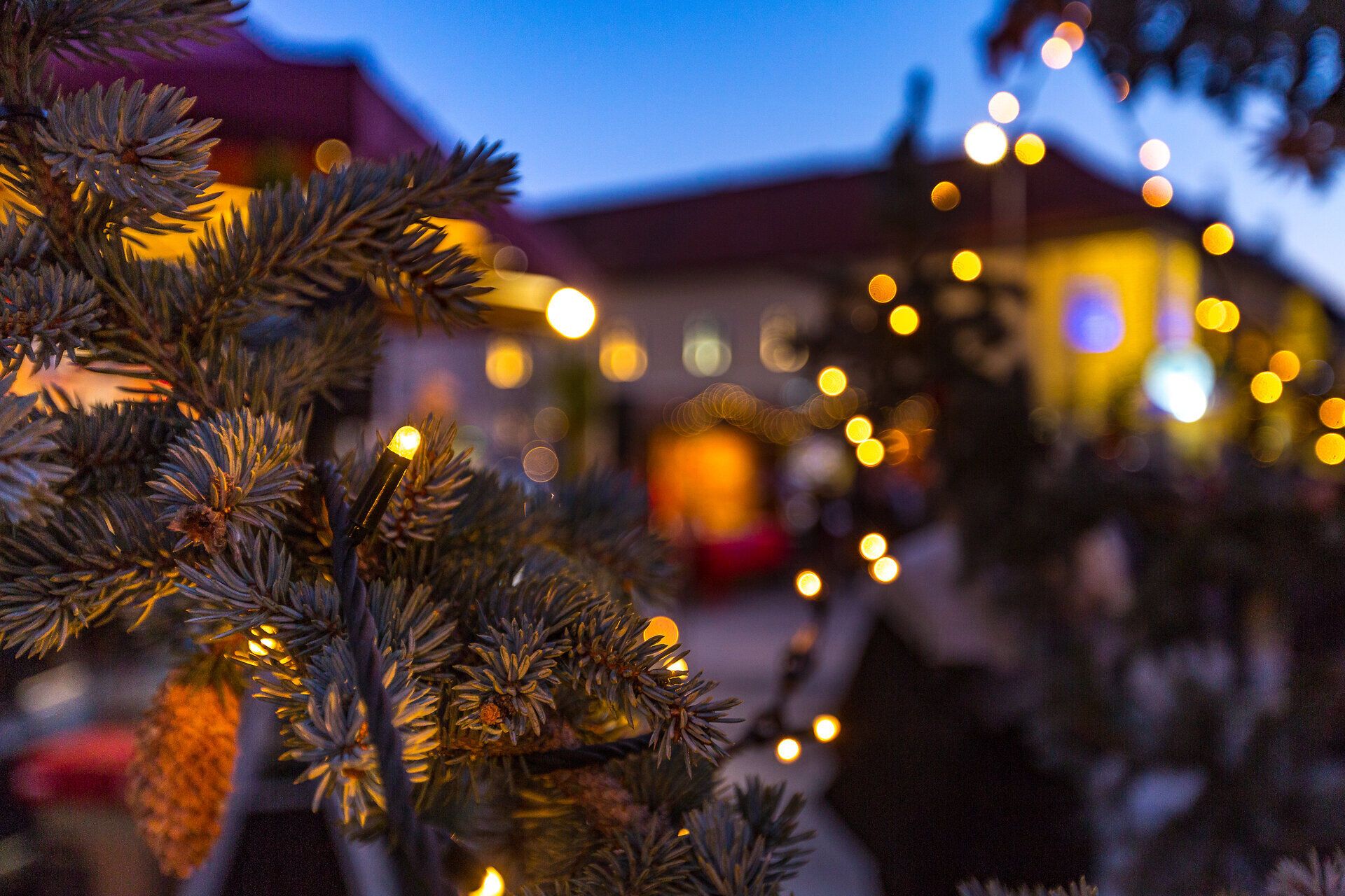 Adventmarkt vor dem Dom in Wiener Neustadt