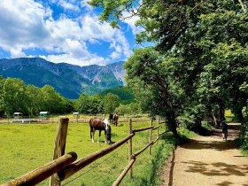 Schneeberg Strecke, © Wiener Alpen in Niederösterreich