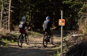 Herrgottschnitzerova cesta do kopce, &copy; Wexl Trails