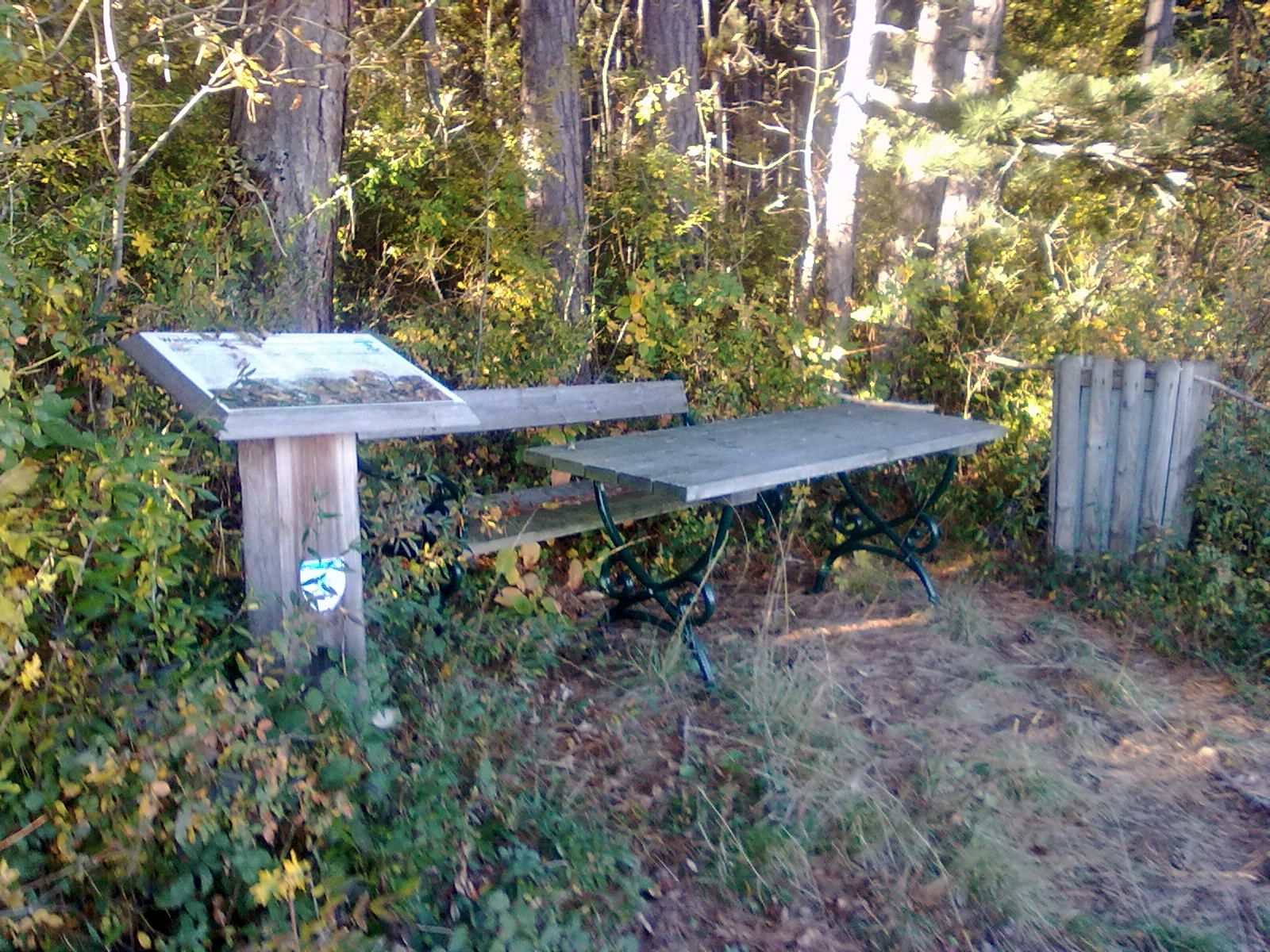 Holztisch und Bank in einem Wald mit Infotafel und Mülleimer.