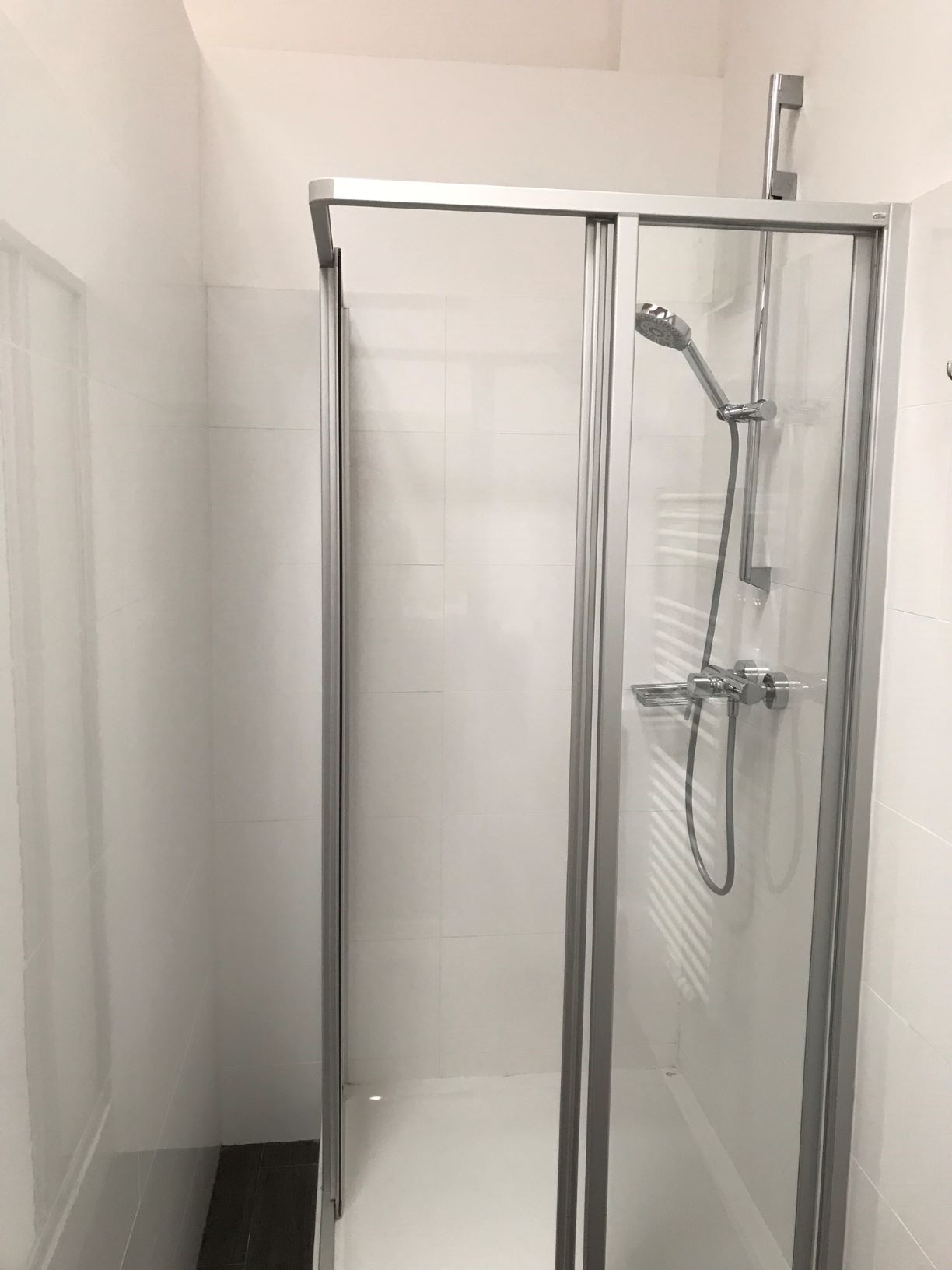 Moderne Duschkabine mit Glaswänden und Handbrause in einem weißen Badezimmer.