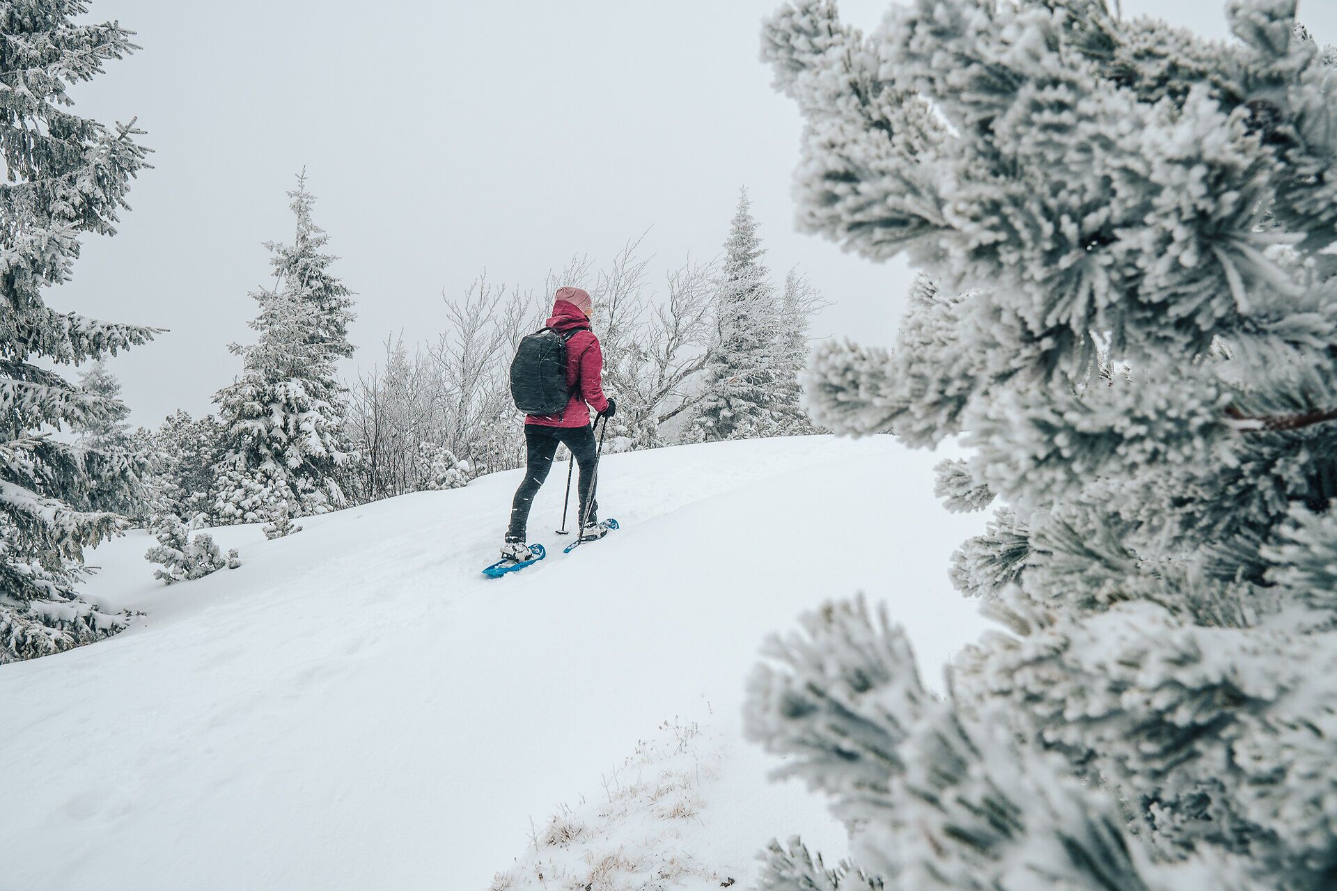 Inmitten einer winterlichen Traumlandschaft gleitet ein Wanderer über den glitzernden Schnee, während die schneebedeckten Tannen sanft im Wind wiegen. Die frische, kalte Luft erfüllt die Lungen und lässt das Herz höher schlagen, während die Stille der Natur eine friedliche Auszeit vom Alltag bietet.