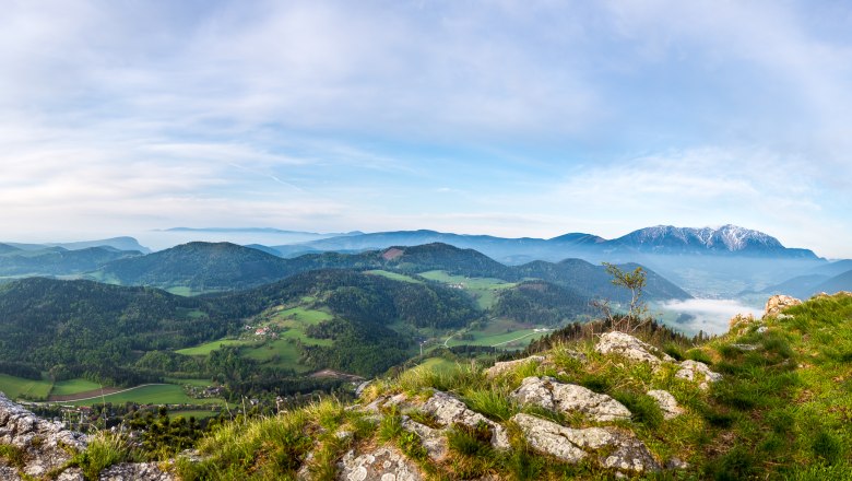 Panoramablick auf eine grüne Berglandschaft mit bewaldeten Hügeln und einem schneebedeckten Berg im Hintergrund unter blauem Himmel.