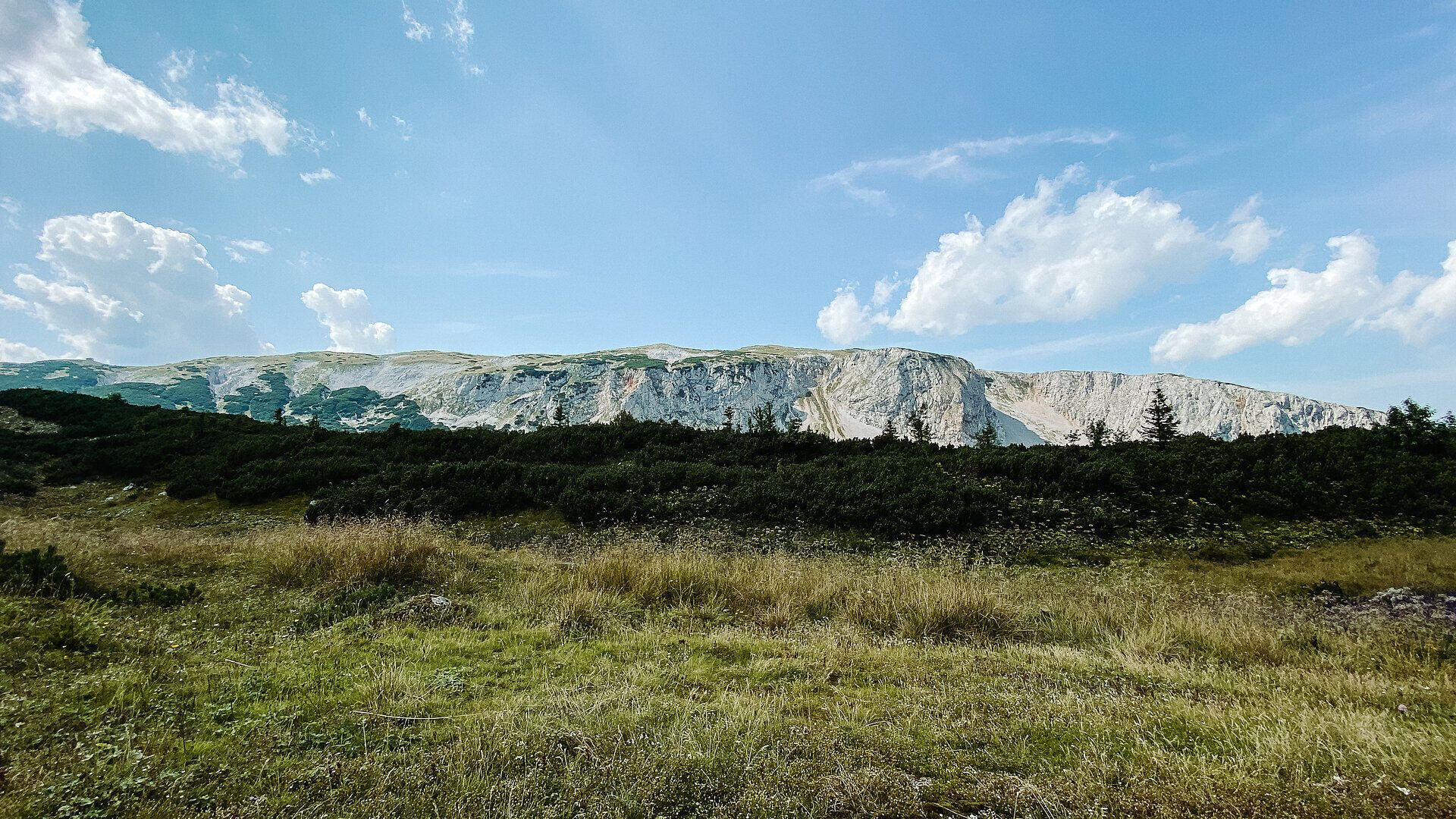 Die sanften Hügel und majestätischen Felsen der Rax laden zu unvergesslichen Erlebnissen in der Natur ein. Hier, wo die frische Bergluft die Sinne belebt, entfaltet sich die Schönheit des alpinen Sommers in voller Pracht. Genießen Sie die atemberaubenden Ausblicke und die Ruhe, die diese einzigartige Landschaft bietet.
