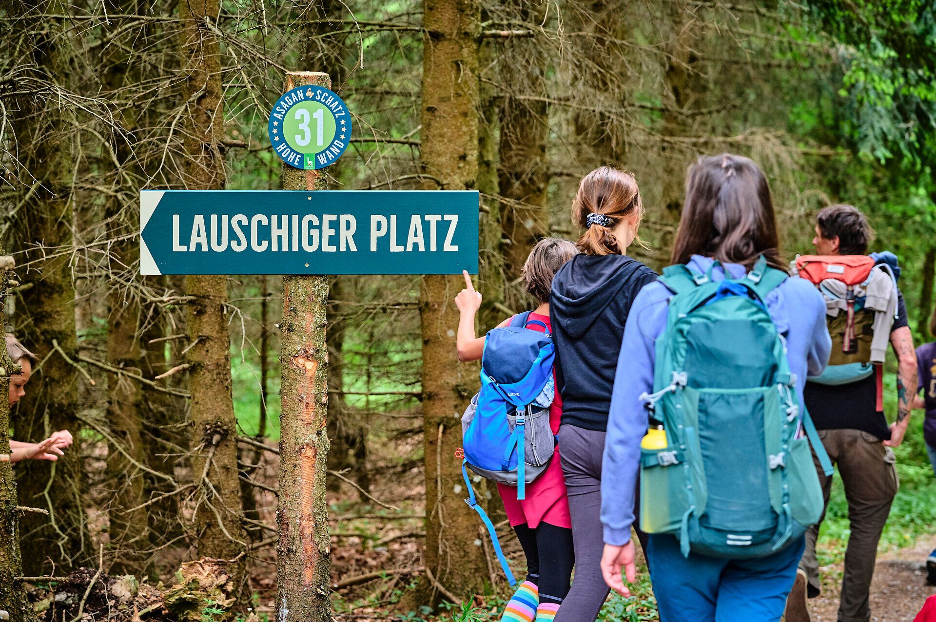 Ein malerischer Wanderweg führt durch dichte, grüne Wälder, wo die frische Luft und das Zwitschern der Vögel die Sinne beleben. Die Wanderer, ausgestattet mit Rucksäcken, genießen die Ruhe und die Schönheit der Natur, während sie dem Ziel, dem Lauscher Platz, entgegenstreben.