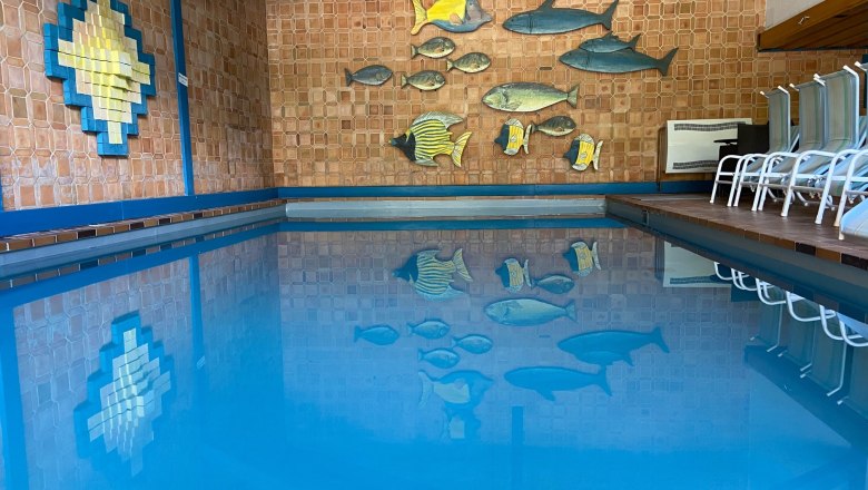 Indoor pool with blue water surface and wall decoration made of fish.