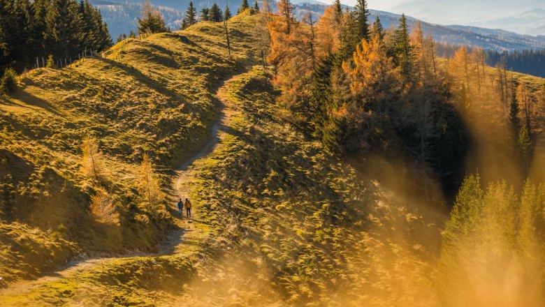 Zwei Wanderer auf einem herbstlichen Bergpfad mit bunten Bäumen.