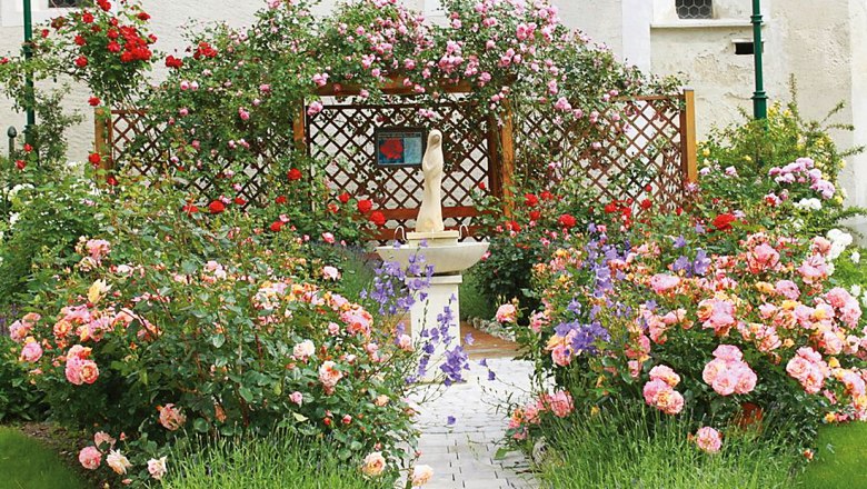 A blooming rose garden with a statue in the middle, surrounded by colorful flowers and a wooden lattice in the background.