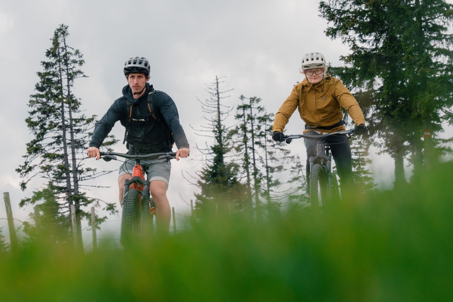 Zwei Mountainbiker fahren auf einem Pfad durch eine bewaldete Landschaft.