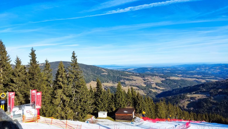 View of a ski slope with forest and mountains in the background under a blue sky.