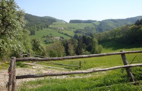 Buchberger Weg (Warth-Petersbaumgarten-Kaltenberg), &copy; Wiener Alpen in Nieder&ouml;sterreich - Bad Sch&ouml;nau