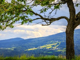 Tannhof mit Blick auf St.Corona, © Wiener Alpen in Niederösterreich