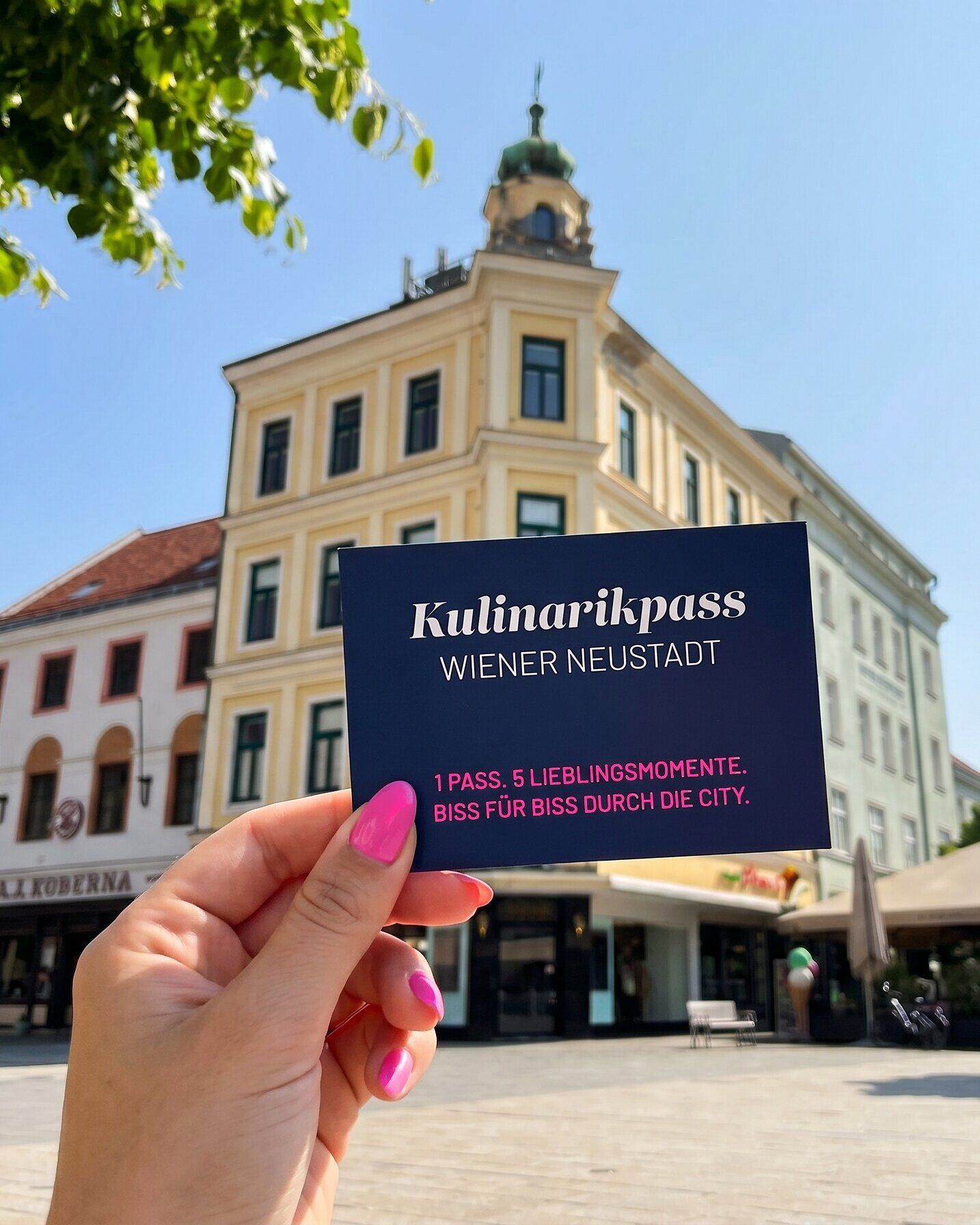 Kulinarikpass (c) WN Kul.Tour.Marketing GmbH