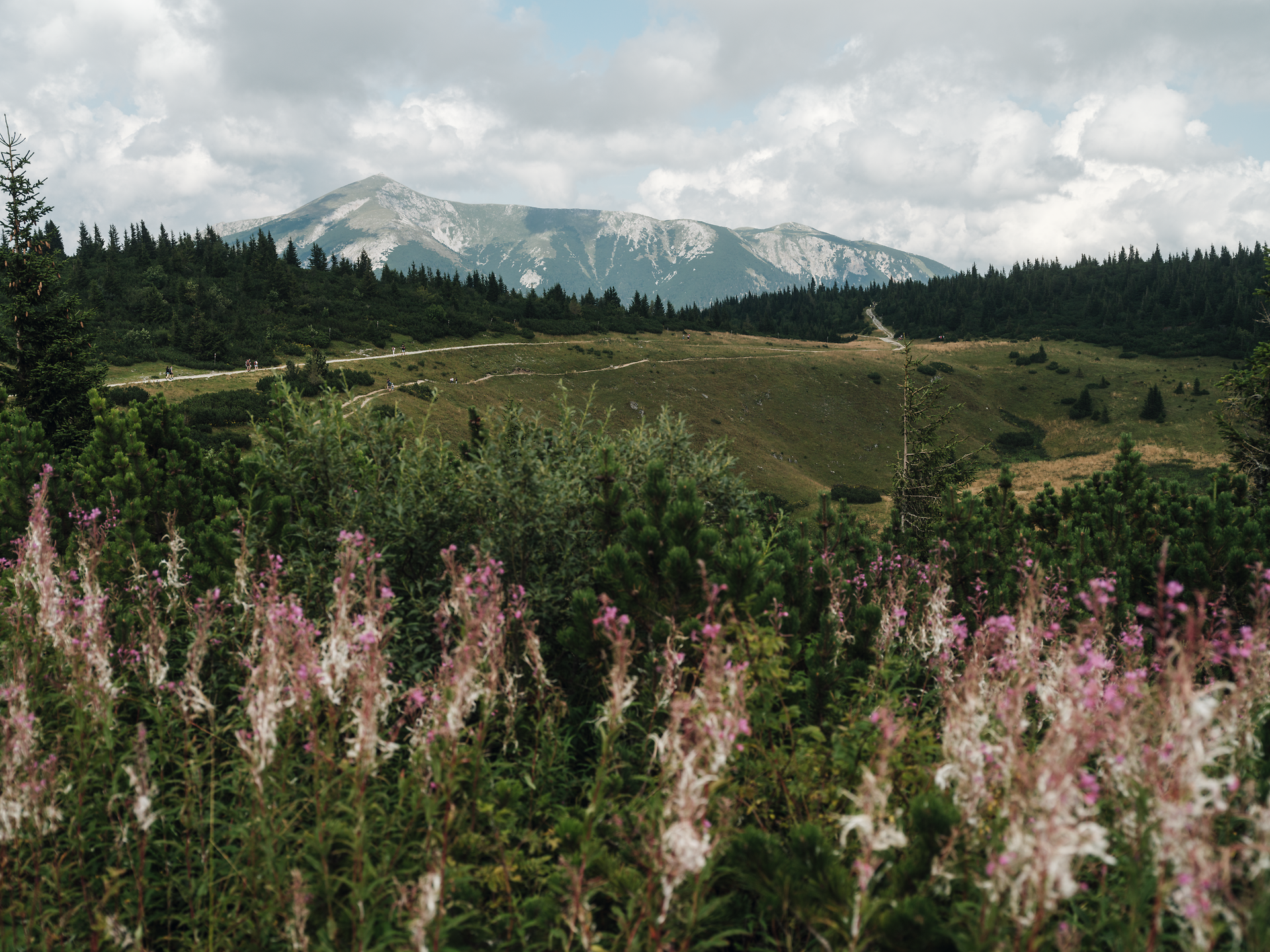 Die sanften Hügel und blühenden Wiesen laden zu einem unvergesslichen Sommerabenteuer ein. Die majestätischen Berge im Hintergrund versprechen atemberaubende Ausblicke und unberührte Natur. Hier, wo die Luft frisch und klar ist, wird jeder Schritt zum Genuss.