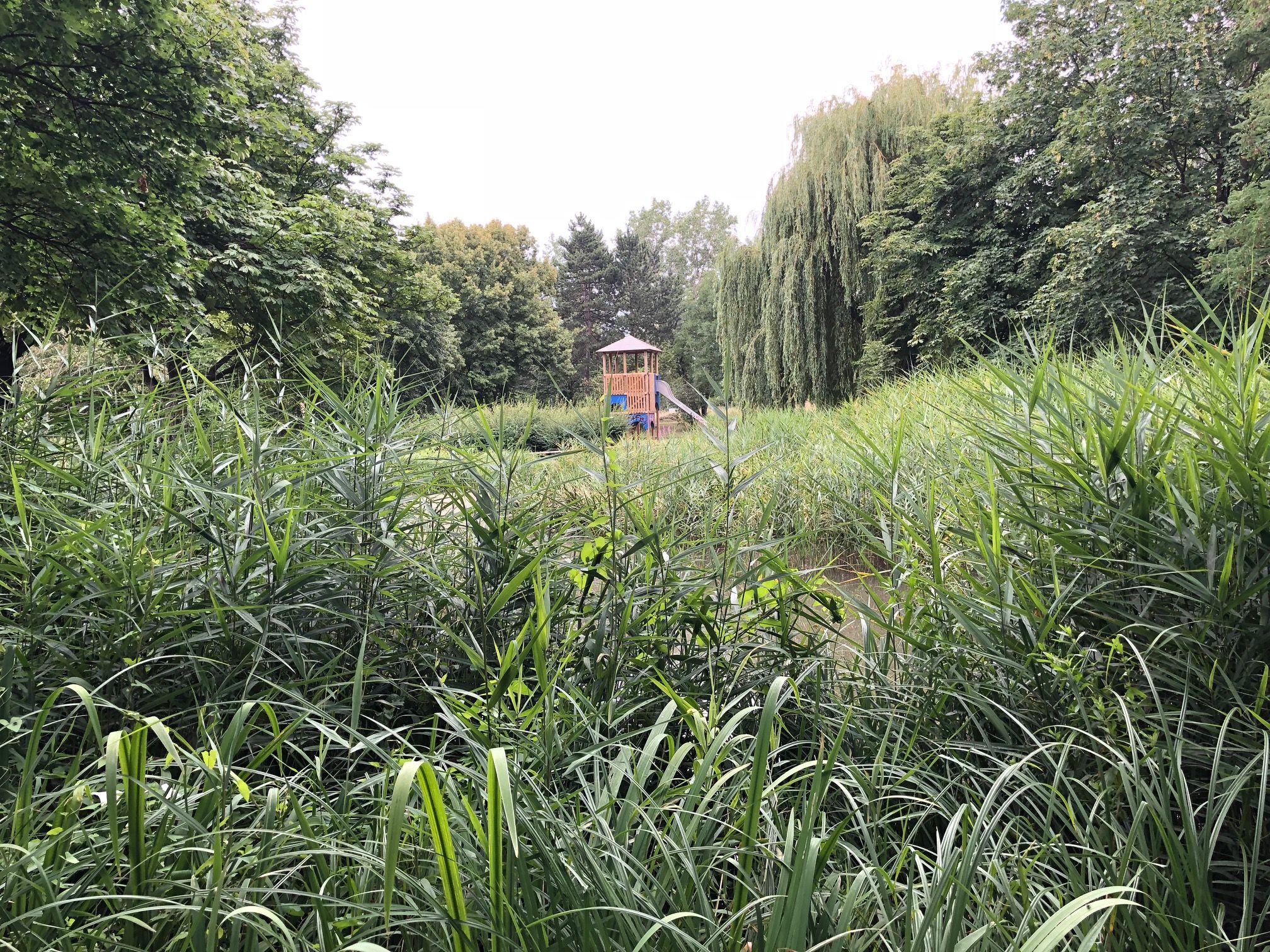 Blick auf einen Spielturm hinter hohen Gräsern und Bäumen.