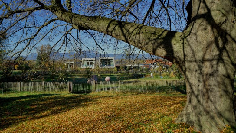 Herbstlandschaft mit Baum, Laub und modernen Gebäuden im Hintergrund.