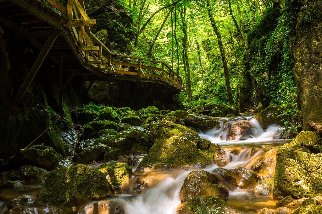 Johannesbach Gorge
