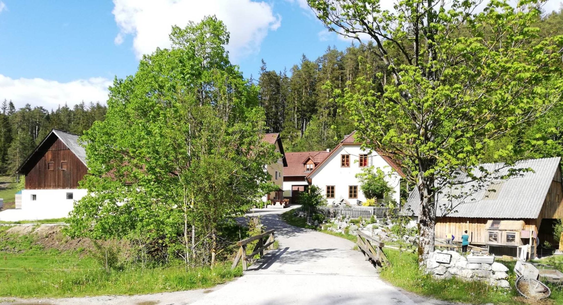 Ein Bauernhof mit mehreren Gebäuden, umgeben von Bäumen und Wiesen, unter einem blauen Himmel.