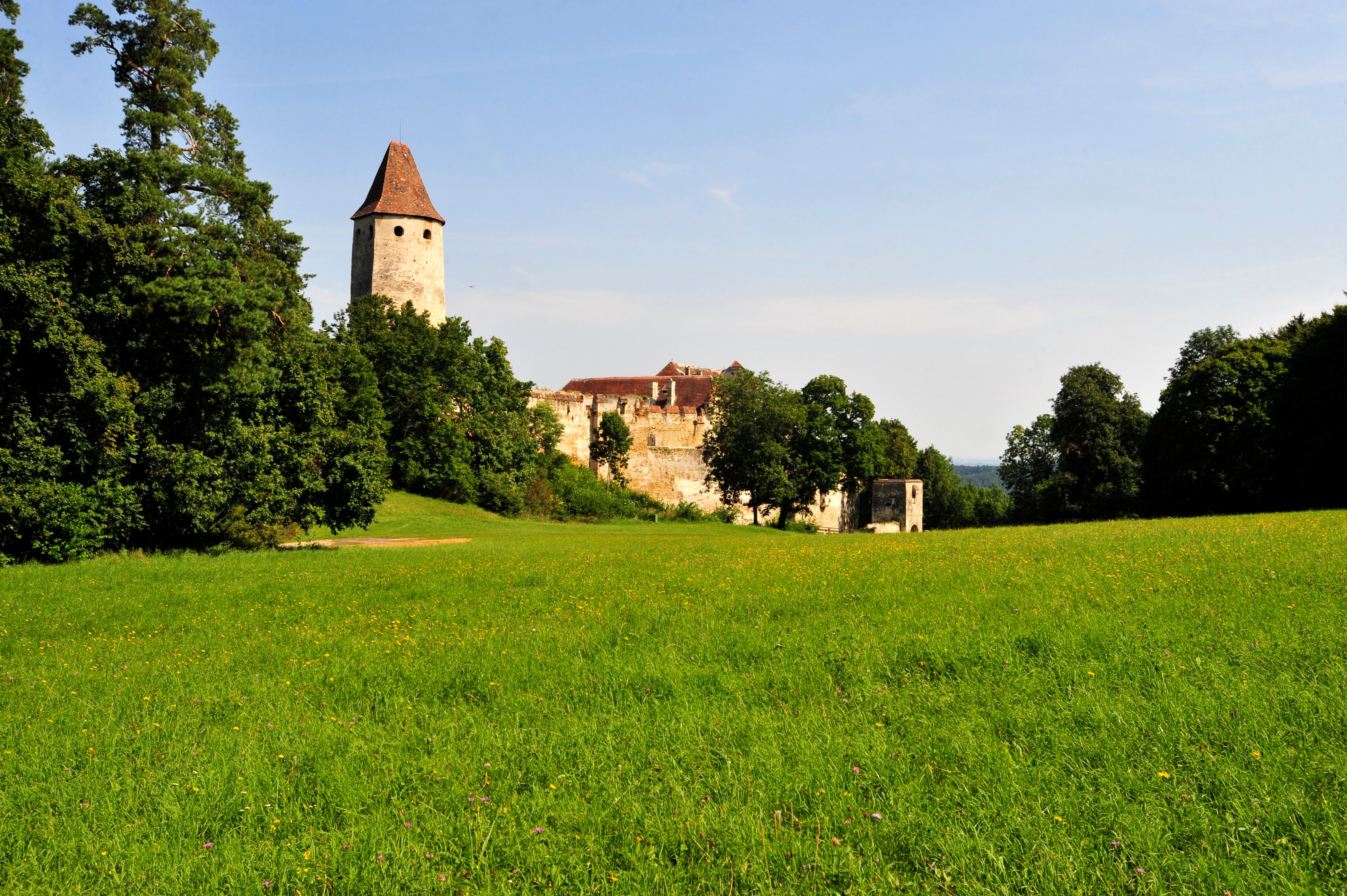 Burg Seebenstein mit Turm und grüner Wiese im Vordergrund.