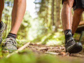 Den Wechsel erwandern, &copy; Wiener Alpen in Nieder&ouml;sterreich - Wechsel