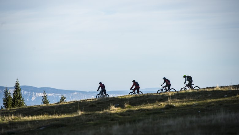 Wexl Trails – bikerský ráj na pastvinách pohoří Wechsel, © Wexl Trails St.Corona/Familienarena