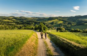 Zwei Wandernde auf einem Feldweg in grüner, hügeliger Landschaft, © Wiener Alpen in Niederösterreich - Bad Erlach